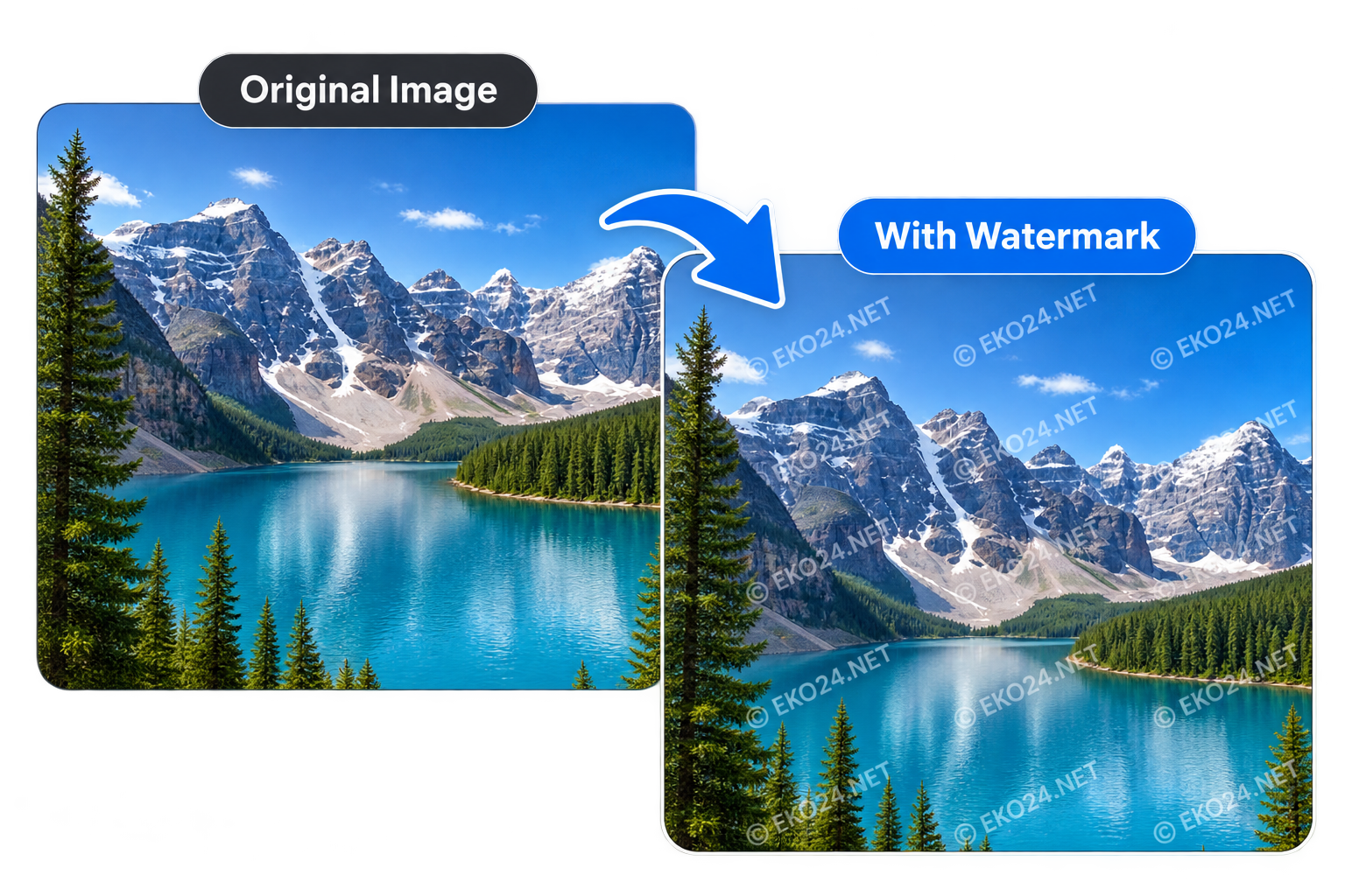 JPG and WebP image quality comparison showing a smaller WebP file