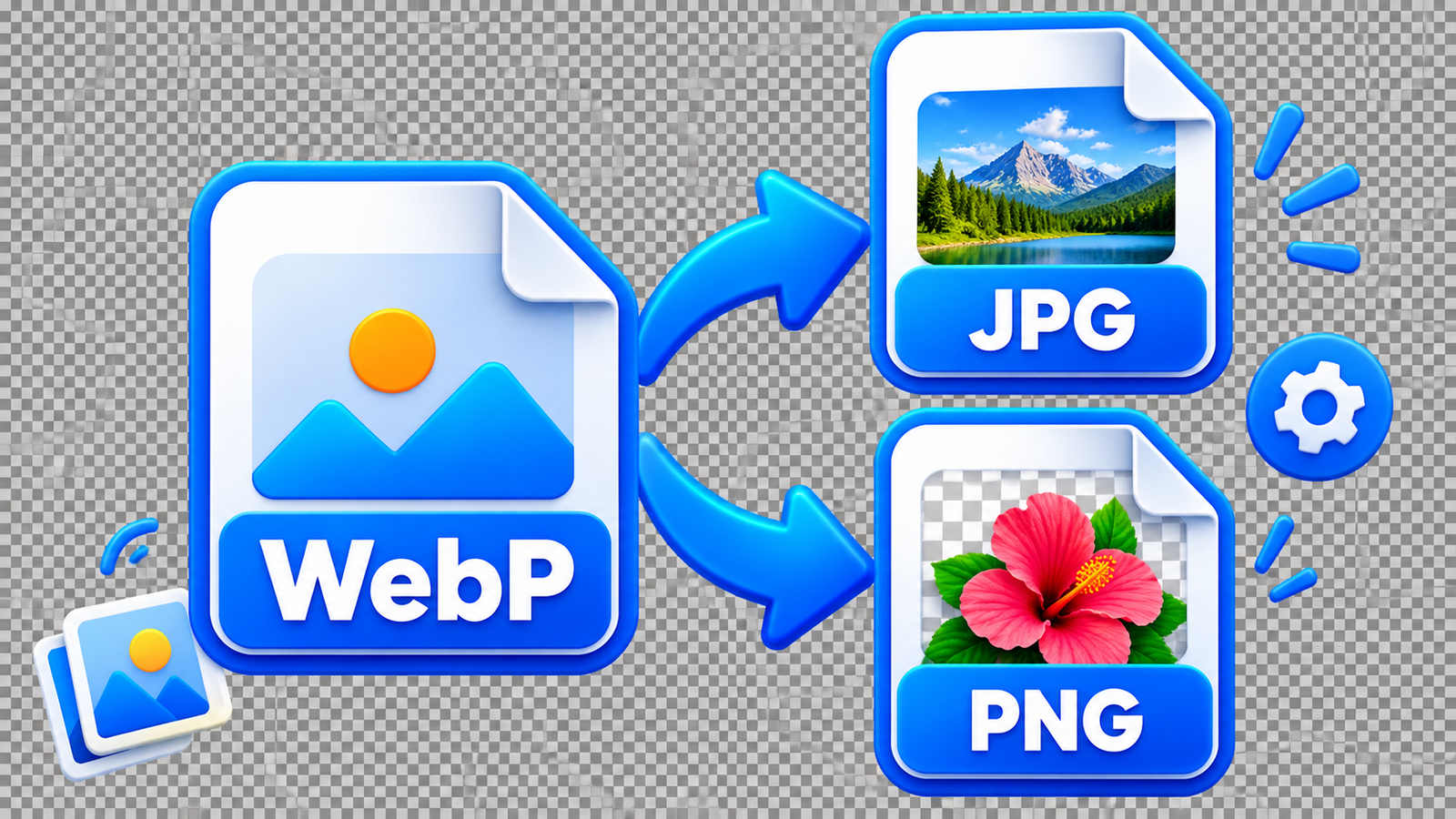 WebP to JPG or PNG: The Best Format for Your Images