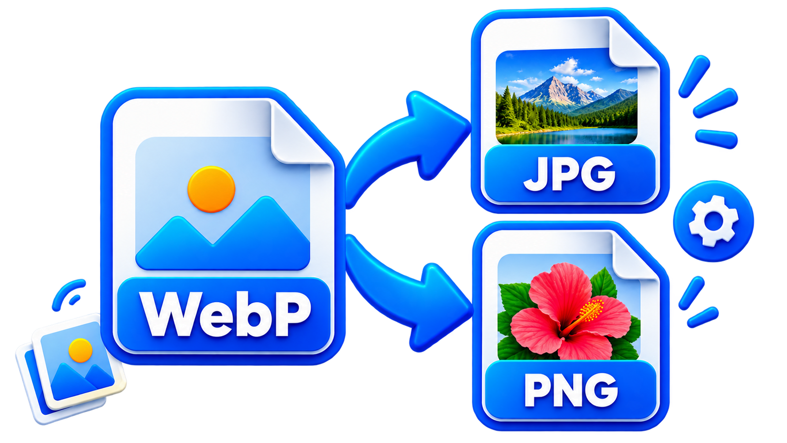 WebP to JPG or PNG: The Best Format for Your Images